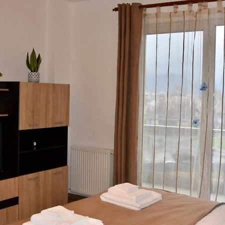 Pricop Residence Nagybánya Kültér fotó
