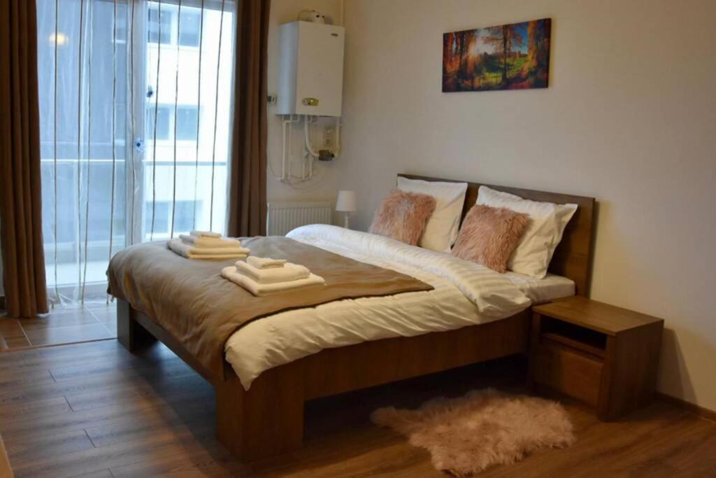 Pricop Residence Nagybánya Kültér fotó