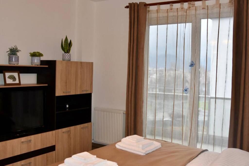 Pricop Residence Nagybánya Kültér fotó