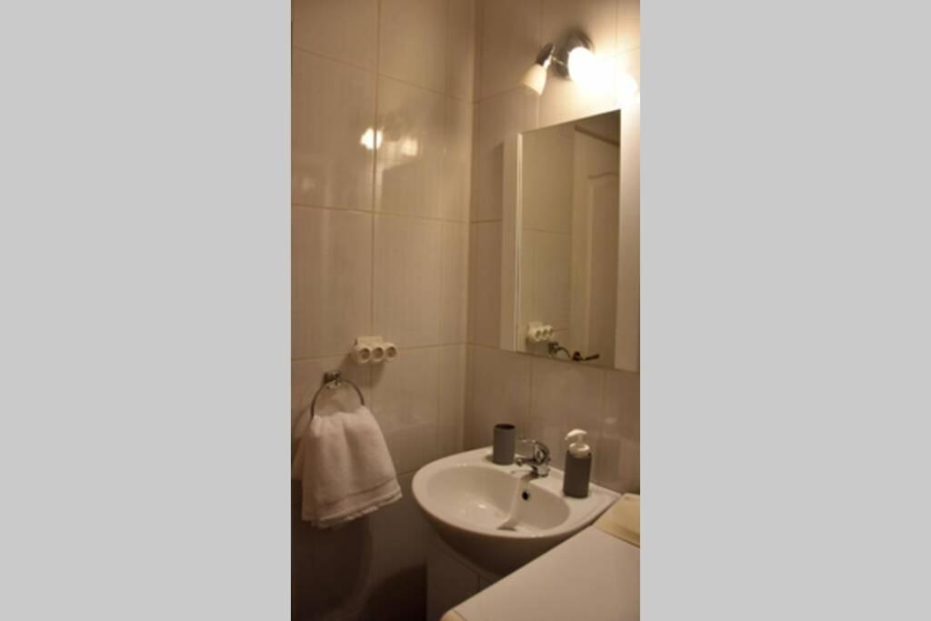 Pricop Residence Nagybánya Kültér fotó