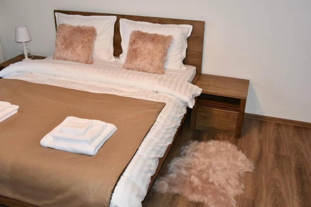 Pricop Residence Nagybánya Kültér fotó