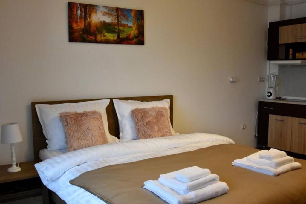 Pricop Residence Nagybánya Kültér fotó