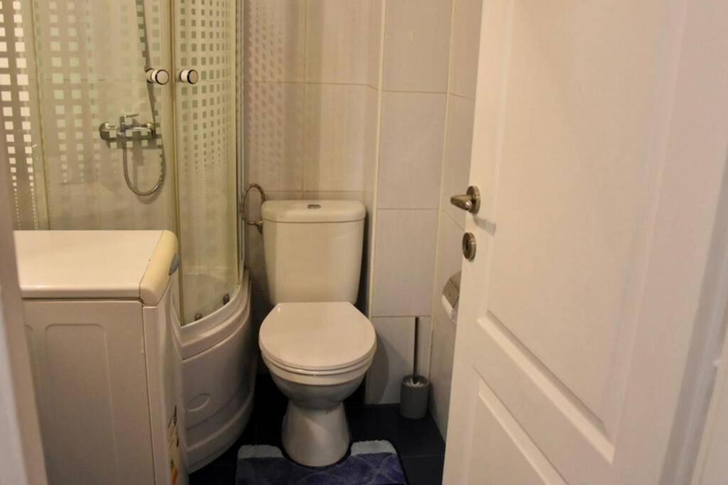 Pricop Residence Nagybánya Kültér fotó